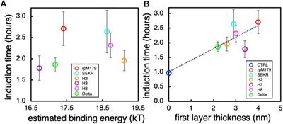 Changes in the C-terminal, N-terminal, and histidine regions of amelogenin reveal the role of oligomer quaternary structure on adsorption and hydroxyapatite mineralization